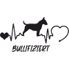 Bullterrier mit Herzschlag