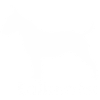 Bullterrier Silhouette