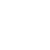 Cat with sunglasses