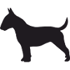 Bullterrier Silhouette