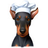 Dobermann Gastronom Hund Köche Dobermannwelpe
