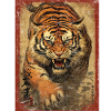 Japanischer Tigerkunst-Samurai-Karate-Krieger