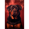 Rottweiler Hund Dog
