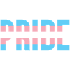 Pride Month LGBT - Trans Pride