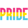 Pride Month LGBT - Pansexual Pride