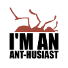 Ant Colony Ant Keeper Myrmecology
