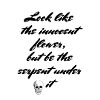 T shirt Lady Macbeth