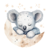 Sleeping koala in pajamas