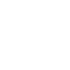 Roller skater