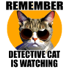 Detective Cat