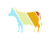 Cow Retro