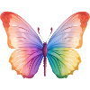 Schmetterling