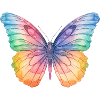 Rainbow Butterfly