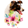 Aquarelle Collie Chien