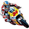 Racing motorcycle n 34