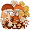 Fleurs et champignons n°5