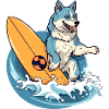 Momo the surfer wolf