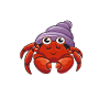 Hermit Crab Gifts