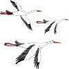 Storks