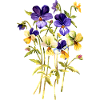Fleur