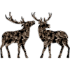 Hirsch