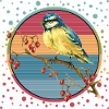 Bunter Vogel