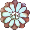 Flower Peace Red Winter