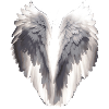 Angel wings