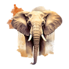 Éléphant