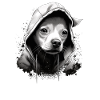 Chihuahua | Cane Cool | Rap | Hip-Hop | Gangster