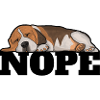 Beagle Dog Nope