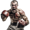 Boxer