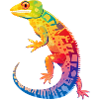 Gecko