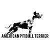 American Pitbull Terrier