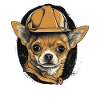 Chihuahua | Construction Worker | Construction |