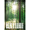 Nature Forest