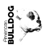 American Bulldog