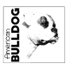 Bouledogue américain