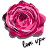 Love you with rose blossom