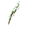 Forest uphill