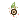 Compass of Nature