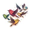 L’escouade des oiseaux