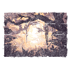 Nature Nature Recreation Forester