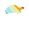 Turtle Retro