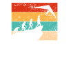 Retro kite flight evolution
