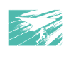 Catch the wind, chase your