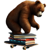 Reading bear on a skateboard