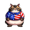 Chat drapeau américain