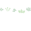 Plants Shelfies Graphic T-Shirts