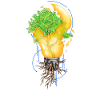 Tree in broken lightbulb